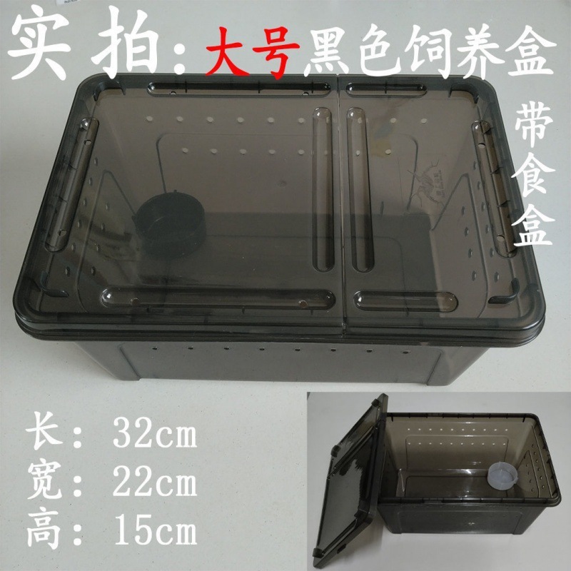 爬虫類、白翡翠カタツムリ、ホーンカエル、クモ、カマキリ、ヤドカリ、昆虫、特大、中型、小型、ミニ高透明飼育箱|undefined