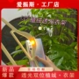 加厚款防滑透光无痕衣撑