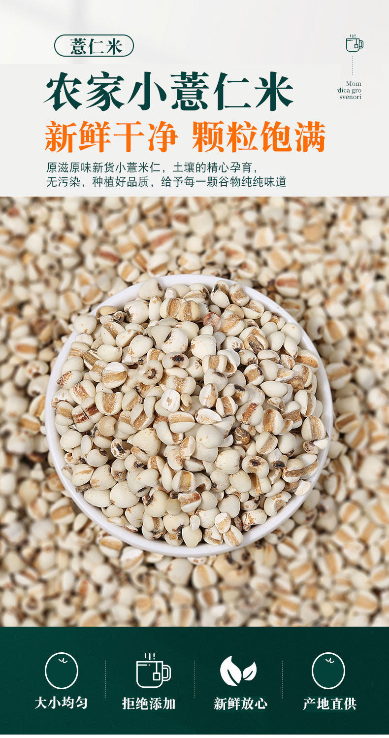 Coix Seed Yi Yi Ren 500g Dried Job's Tears for Tea Soup and Congee overview