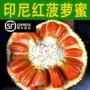 印尼波罗蜜香甜新鲜水果