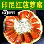印尼红肉菠萝蜜新鲜水果当季一整个红心波罗蜜香甜脆大树菠萝包邮