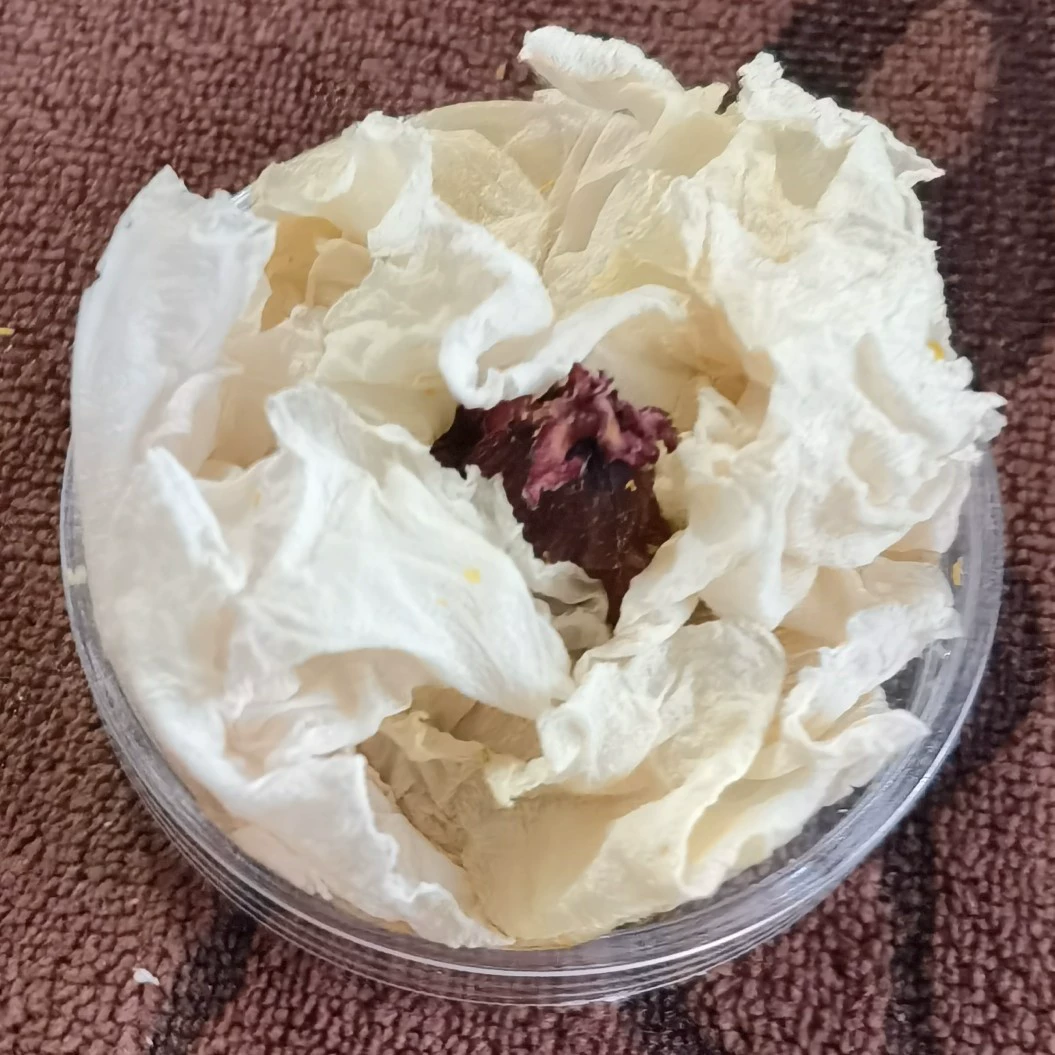 Белый пион цветочный чай пион полный цветочный чай пион чай пион чай пион цветочный чай