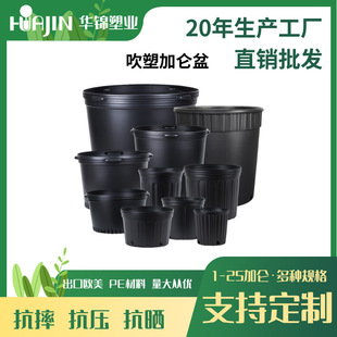 [��Խ�A�\����]����1-25�Ӂ��軨�����ϻ���Ӻ��ɫ�������ψ@ˇ