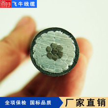 ���� JKLGYJ-1KV-95/15���� ��\�о�ܿս^������ ��ȼ�͸ߜ�