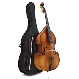 Naomi Matte Antique Adult Double Bass Double Bass Bass
