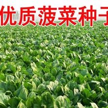 ͥˈ@߲˲˷NӲ˹˳˲JW^˼tw˃