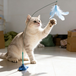 �¿�؈Ę���P��؈�U�����ë䓽z�U��������؈��ߏ������P��؈��