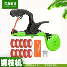 �羳���ѽ�֦�C�������t���J���ҹ����p�ͽ�֦���ք������S��ֱ�N