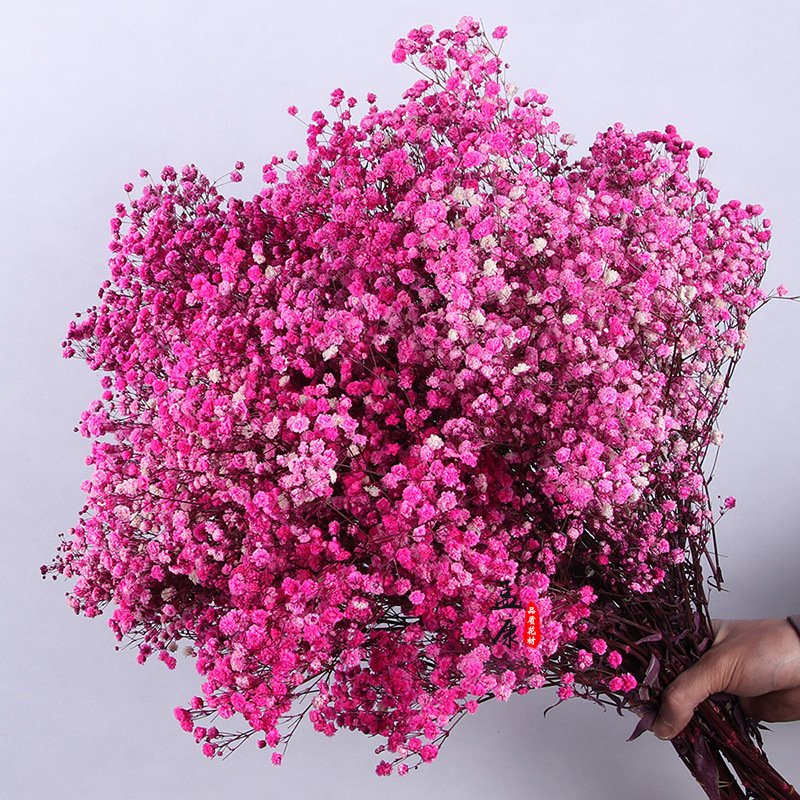 Yongsheng flor estrellado flor seca grande al por mayor regalo de flores de San Valentín Regalo de Cumpleaños gran manojo de ramo de flores reales