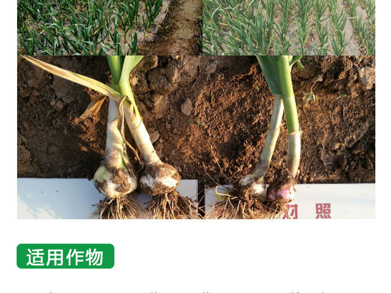 有機(jī)無(wú)機(jī)復(fù)混肥