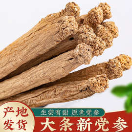 党参批发中药材无硫党参条甘肃特产党参段无硫原色党参片当归黄芪