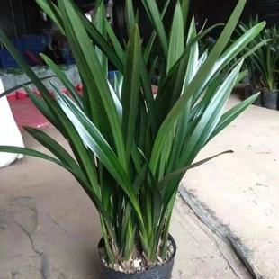 �m�������_���ļ��_���������m����ī�m�M���h���҃Ȼ��܃����՚�