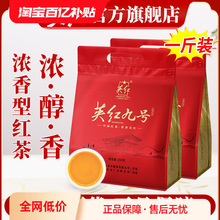 ӢtơӢ¼tp500gӢt̖t~ͿڼZ