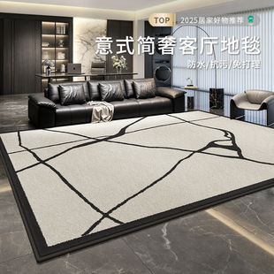 意式极简风地毯客厅轻奢高级感新款加厚卧室床边毯家用免打理地毯-阿里巴巴