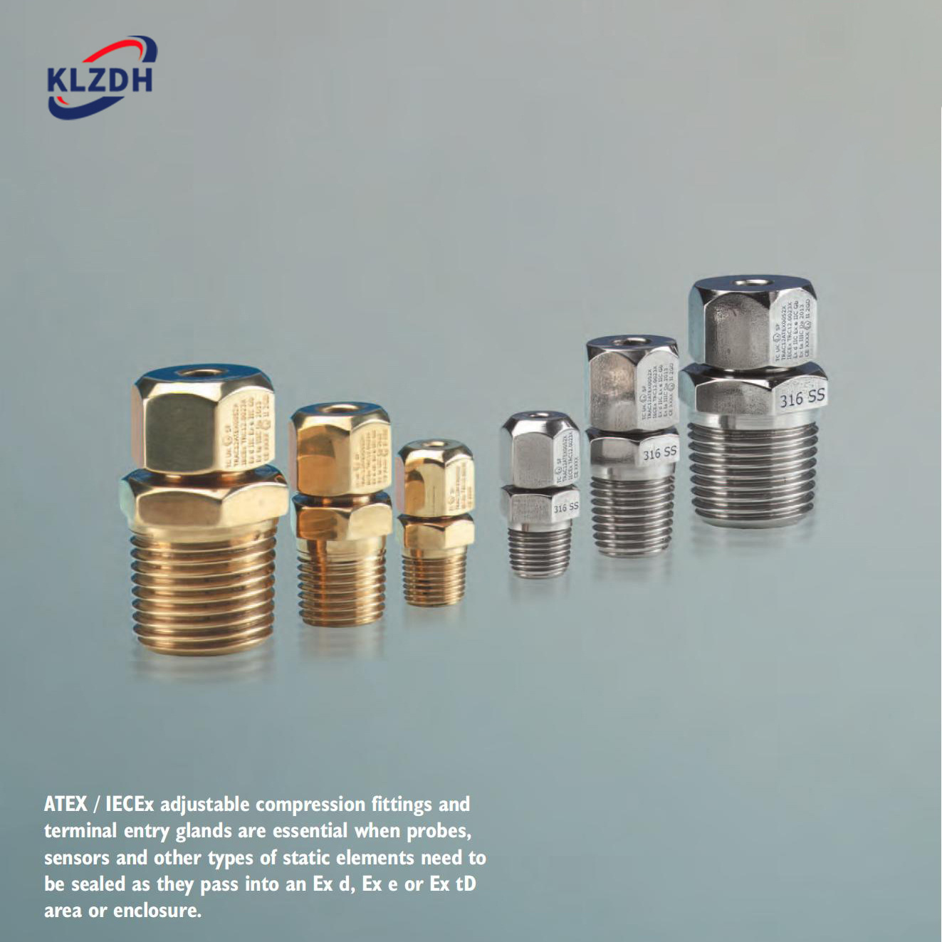 316不锈钢压缩式接头 探针传感器可调节的压缩配件和终端入口接头