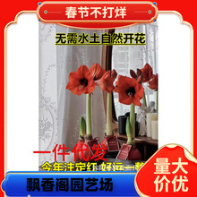 ��피t��Ϟ�M�ڷN���k�������滨���՚��_���}�Q�����Y����S���]