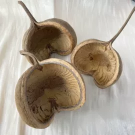 佛珠/念珠;植物工艺品;其他乐器