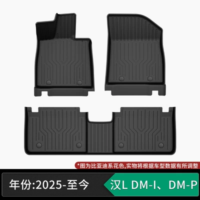 Modelə uyğun ayaqaltı – formaldehyde, non-slip and wear-resistant - 25-models-of-byd-han-l-dm-i-dm-p-single-layer-tpe-floor-mats