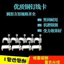 �W��� �W���̶� �ᔾ��� 늾��� �W���� ������ ���100ֻ/���l