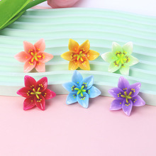 �¿��u�����������֬��� �ֹ����������zdiy�^�K�l��NƬ�S��