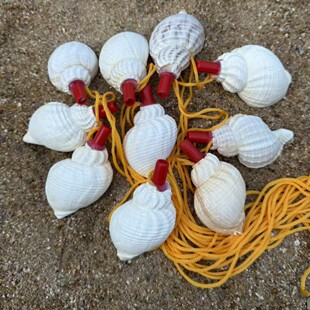 ��Ȼ���ݻ����ݿɴ�����ؐ�������b[�����ξ��c�ؔ���ͯ���