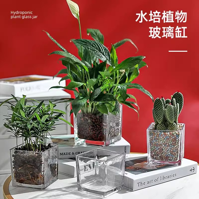 Simple Hydroponic Glass Vase Transparent Square Cylinder Water-Raising Lily Tulip Narcissus White Palm Utensils Living Room Small Flower Pot