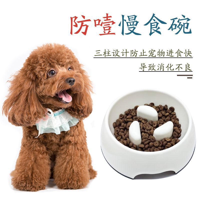 Piés altos cuello para perros tazón para perros tazón para gatos doble tazón anti-derroquear tazón de comida para gatos acero inoxidable tazón para perros grandes perros