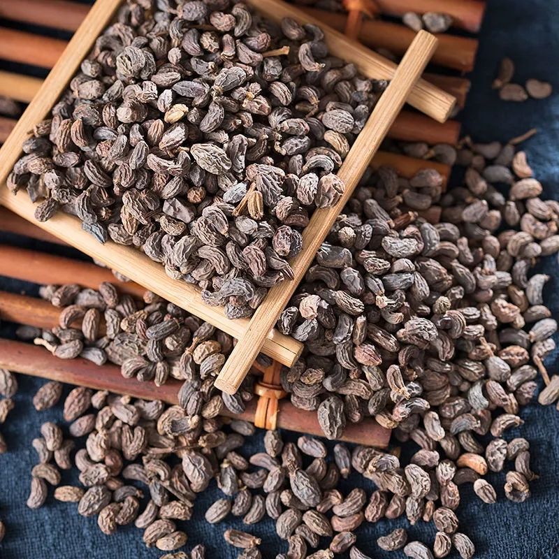 Glossy Privet Fruit Nuzhenzi 500g Dried Ligustrum lucidum Berries for Tea Wine and Herbal Decoction quality and texture