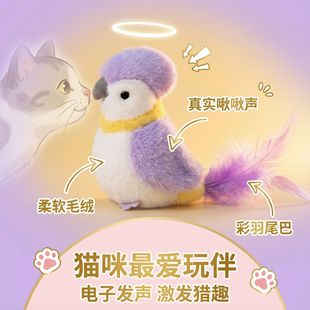 ߵ�ɰl�B؈��߶�؈����ë���˽␞��������С�B����늄�؈����