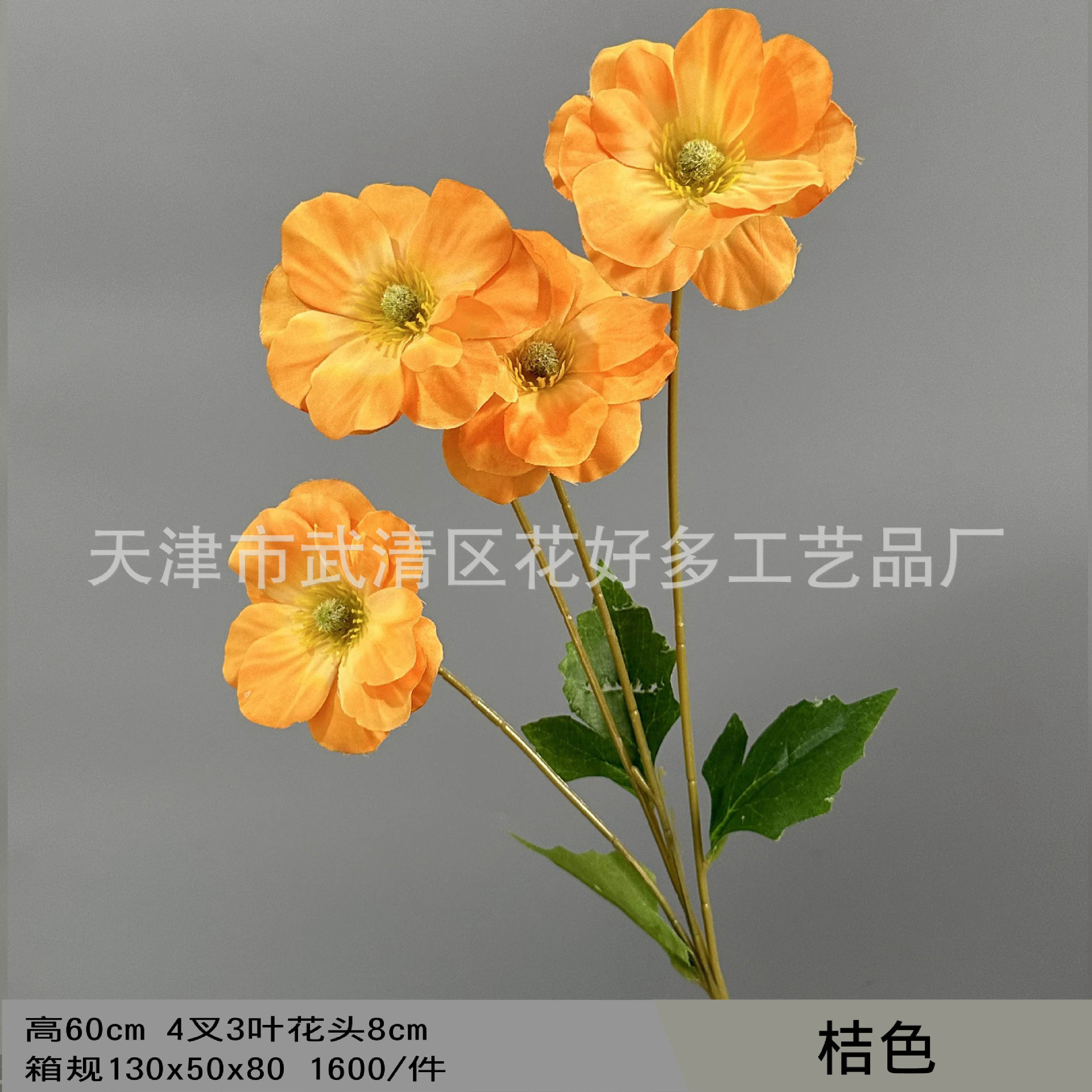 오렌지