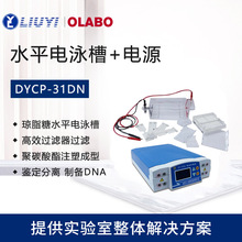 六一DYCP-31DN蛋白核酸电泳琼脂糖水平电泳槽 电泳仪