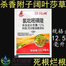 莎阔兵 氯吡嘧磺隆 水稻玉米甘蔗红薯莎草香附子烂根除草剂香附净