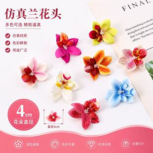 ��������С�����m4cm ���^��c�b��⻨�h�l�A�Ʒ�ٻ��S�����l