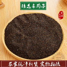 车前子500克g包邮新货无硫大别山车前子车前草籽中药材车前子茶