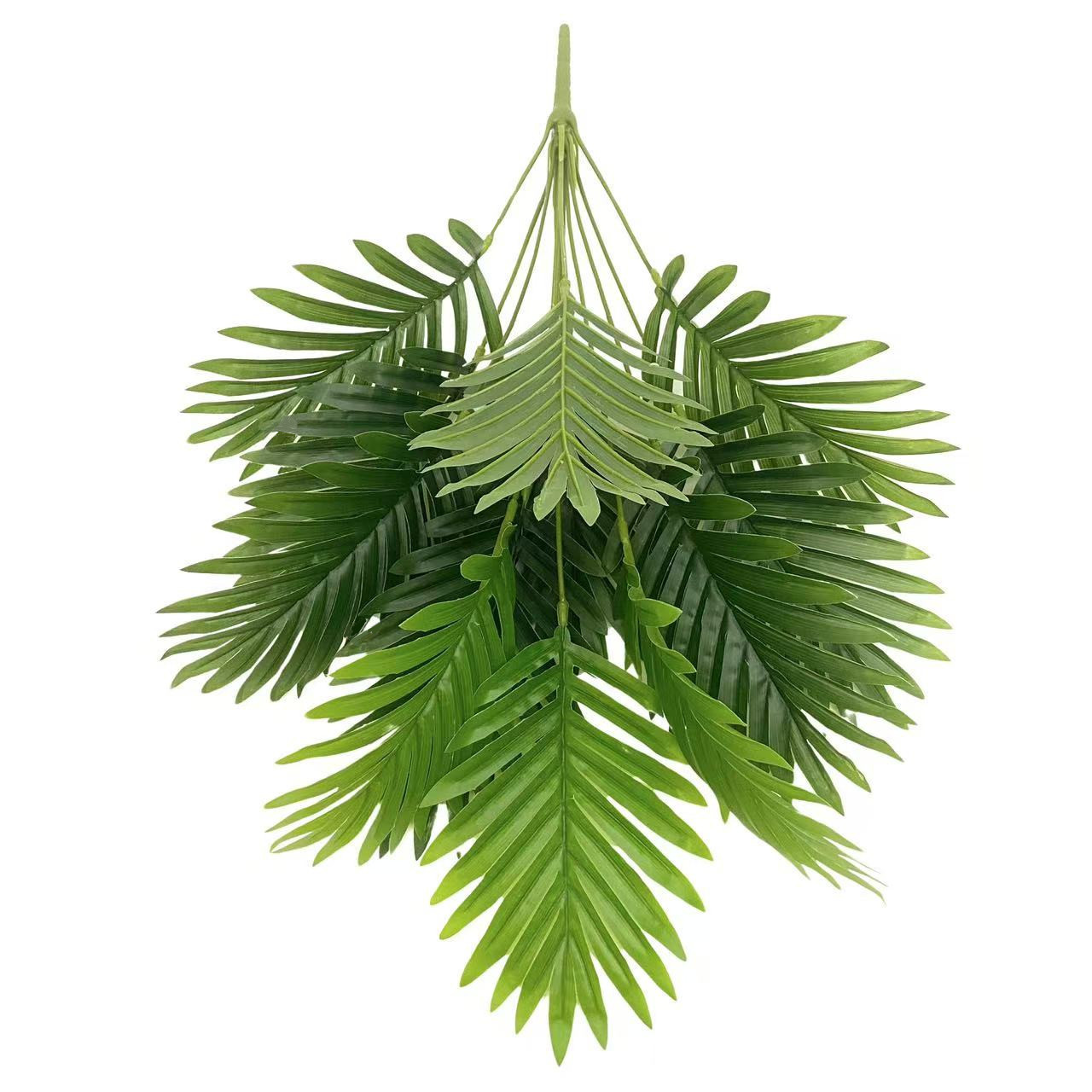 微信图片_20241212212653_副本