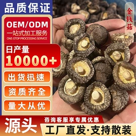 其他干货;香菇;豆类