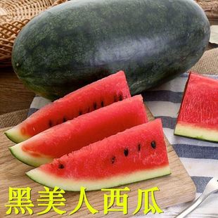 ���������ϱ�Ƥ�����֭���������rˮ�����r��ժ���l���]