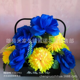 ������ �辰 �軨 ���� ���� ���h���� ������ ���� �\�Z������Ʒ