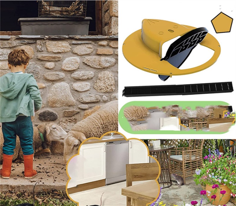 O1CN016VTa3C1PwzZyammjX_!!2207