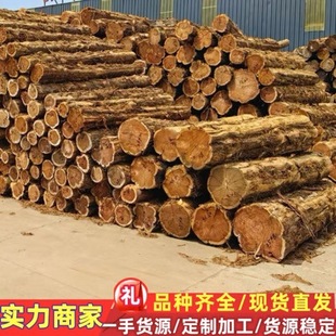 �������ľ ��ľ�۲�ľ�� �t�İ� �tѩ��ԭľ�۲ďS�����l �tѩ��