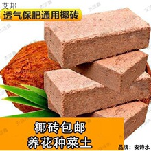 ���������àI�B���w���m����͸���ЙCҬ�؉|Ҭ�uҬ������Ҭ��Ҭ��