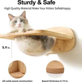 跨境木质猫窝家用壁挂式太空舱猫咪窝实木猫爬架跳板猫猫解闷玩具