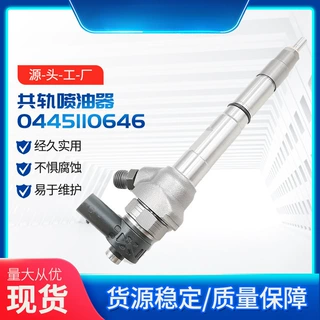 高压共轨喷油器0445110646柴油机发动机零部件总成喷油嘴