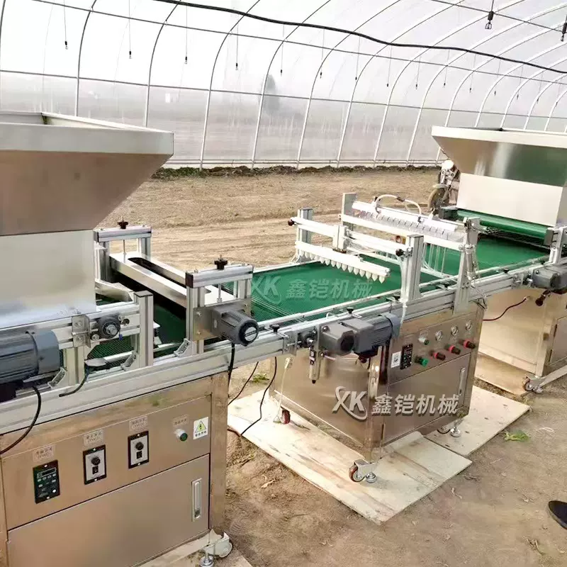 全自动穴盘播种机针吸式花卉种子种植机小型流水线农用育苗播种机