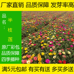 �ذ�̫ꖻ��N�����~ĵ���N�Ӽ�ͥ�̨�^�p�R�X�{���ѻ�����