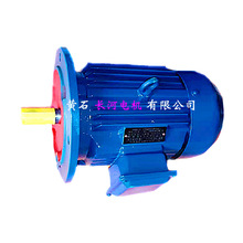 供应高效永磁电机 YT3000-4三相稀土永磁电机