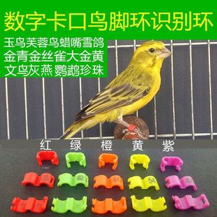 �B�_�h�_���R�e�h�B��h�Bӛ̖�h���B�������B�_�hܽ���B�W�^�羳