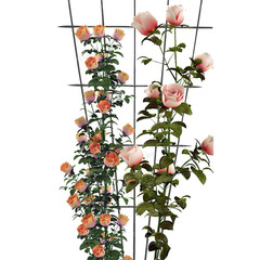 跨境鐵藝隔斷爬藤架攀爬花架花盆爬藤支架鐵線蓮爬藤花支撐墨綠色