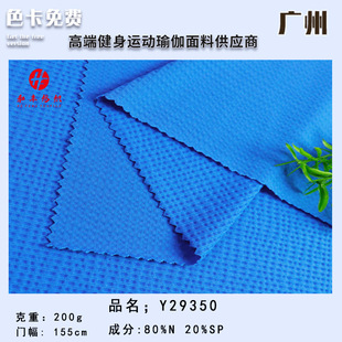 �S�ҬF؛ֱ�l �\�]200g�ߏ�͸�����eT��Poloɼ�\���������l
