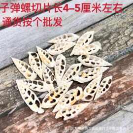 切片子弹螺 天然贝壳海螺手工切片衣服配件项链首饰DIY原材料批发